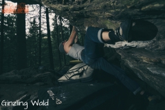 Ginzling Wald