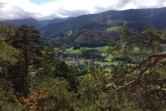 Basler Jura - Solothurn 2