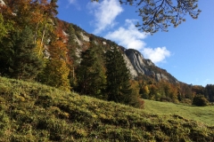 Basler Jura - Solothurn 3