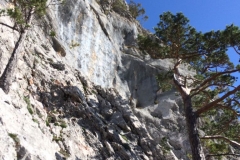 Basler Jura - Solothurn 5