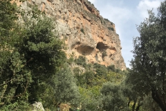 006 Tannourine El Tahta