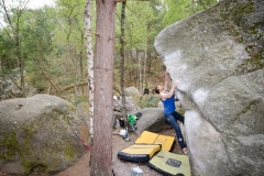 Fontainebleau - Apremont - Égoïste (assis) - 7a+