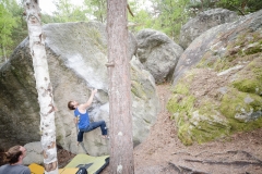 Fontainebleau - Apremont - Égoïste (assis) - 7a+