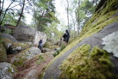 Fontainebleau - Apremont - Full Contact 7c+