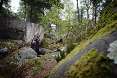 Fontainebleau - Apremont - Full Contact 7c+