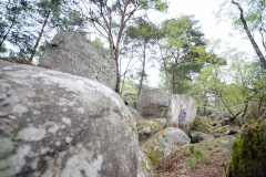 Fontainebleau - Apremont - Full Contact 7c+