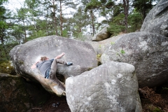 Fontainebleau - Apremont - Belle Gueule 6b+