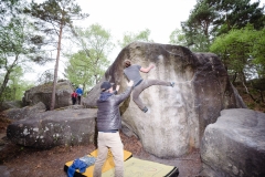 Fontainebleau - Apremont