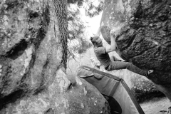 Fontainebleau - Apremont - Le Koala 7c+