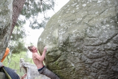 Fontainebleau - Apremont - Le Koala 7c+