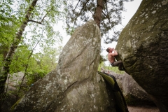 Fontainebleau - Apremont - Le Koala 7c+