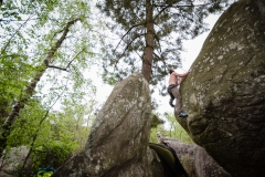 Fontainebleau - Apremont - Le Koala 7c+