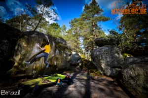 Fontainebleau