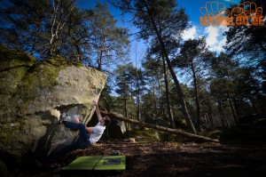 Fontainebleau