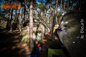 Fontainebleau