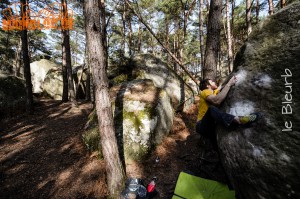 Fontainebleau