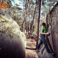 Fontainebleau