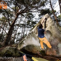 Fontainebleau