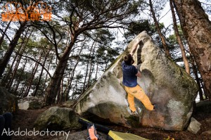 Fontainebleau