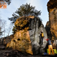 Fontainebleau