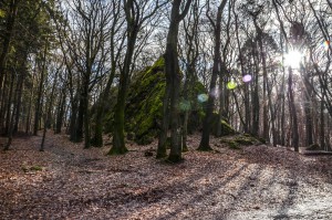 Grauer Stein - Taunus - Bouldern