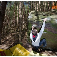 Haardt, Pfalz, Bouldern