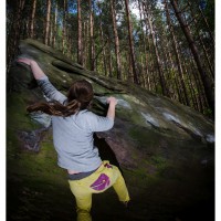 Haardt, Pfalz, Bouldern