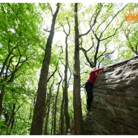 Kalmit, Pfalz, Bouldern