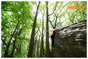 Kalmit, Pfalz, Bouldern