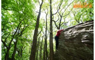 Kalmit, Pfalz, Bouldern