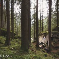 Zillertal - Bouldern