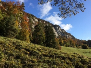 Artikelbild - Basler Jura - Solothurn 3