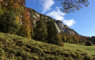 Artikelbild - Basler Jura - Solothurn 3