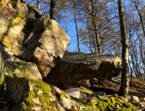 Bouldern im Taunus – Guide nimmt Formen an