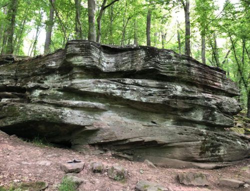 Bouldern in Main Spessart