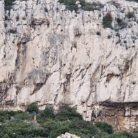 3ab81214-acf6-480c-8455-dfbe387ce9da